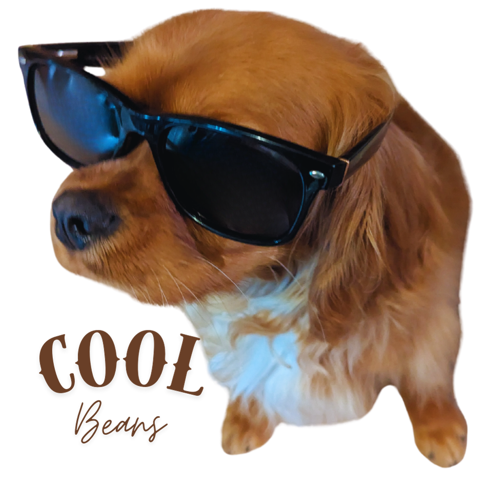 Cool Beans